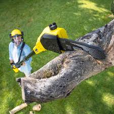  Scobey, MT Tree Removal and Landscaping Services Pros